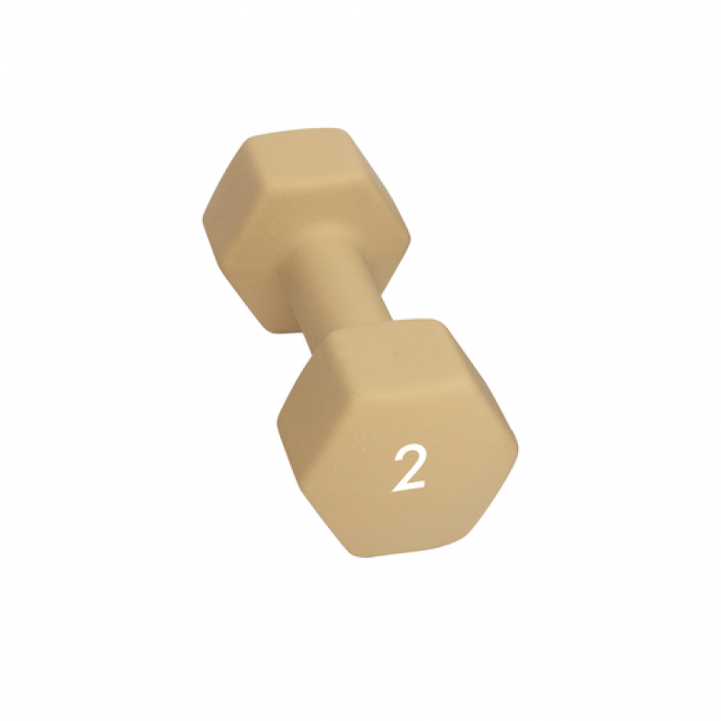 Abilica Abilica Dumbbell 2 Kg 374276 Vinderen Sport 1