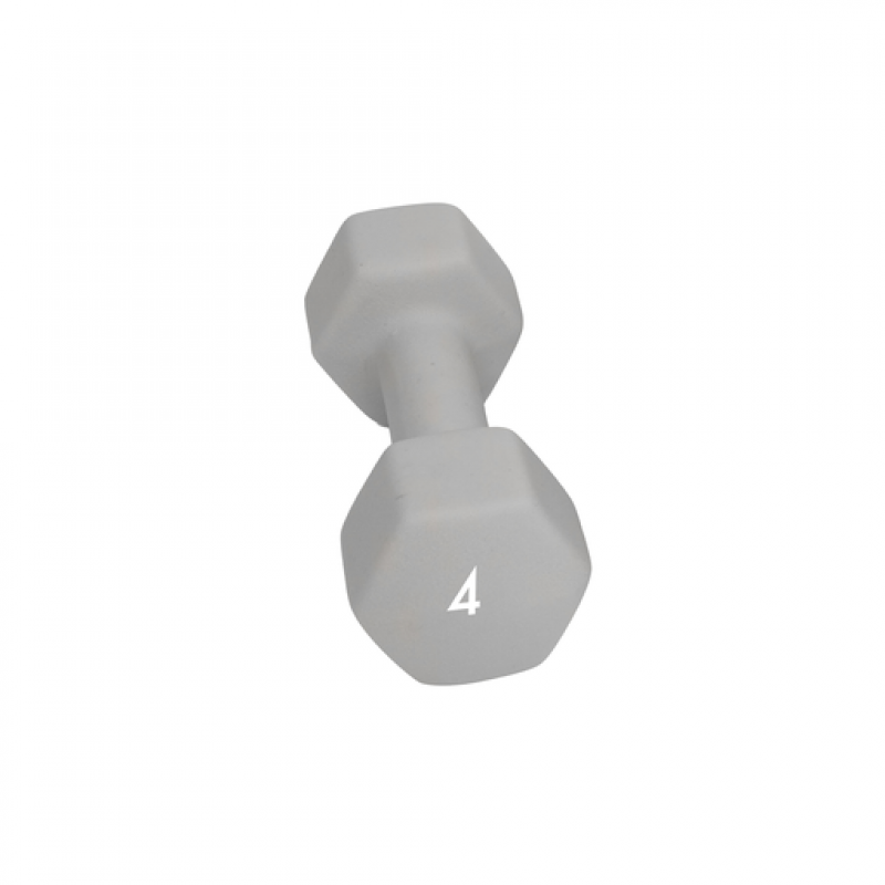 Abilica Abilica Dumbbell 4 Kg 374278 Vinderen Sport 1
